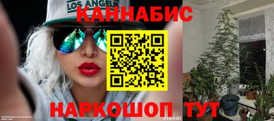 гашик Гусь-Хрустальный