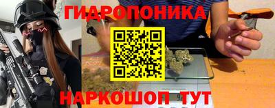 гашик Гусь-Хрустальный