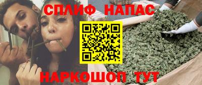 дурь Гусев