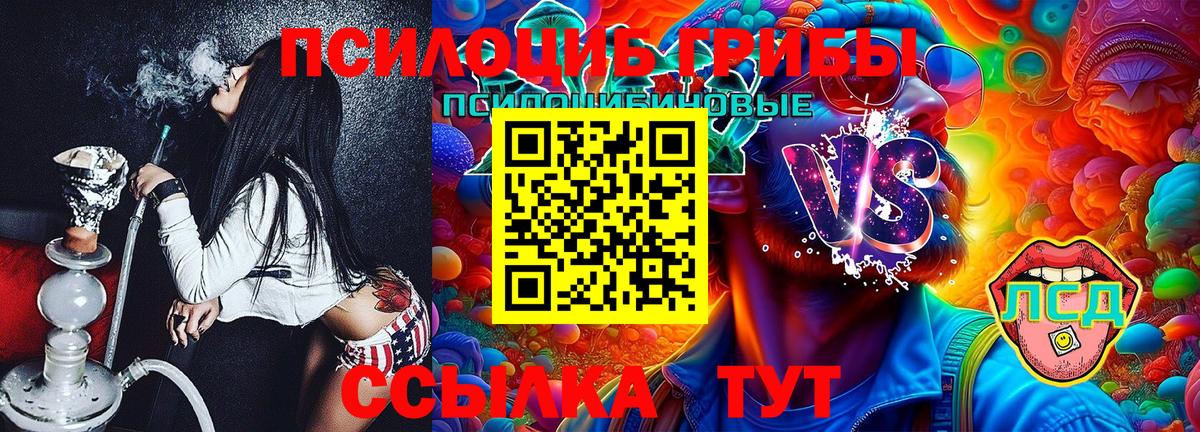 Псилоцибиновые грибы Cubensis  Вход с VPN  Минусинск 