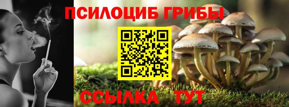 Галлюциногенные грибы мицелий Минусинск